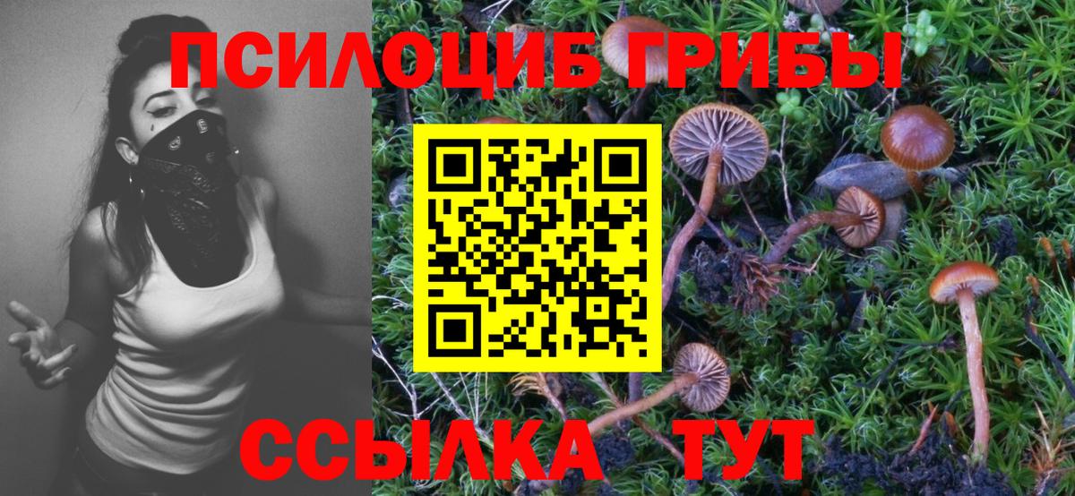 Псилоцибиновые грибы MAGIC MUSHROOMS Кириши