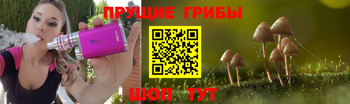 Кириши  Галлюциногенные грибы Cubensis  Вход с VPN 
