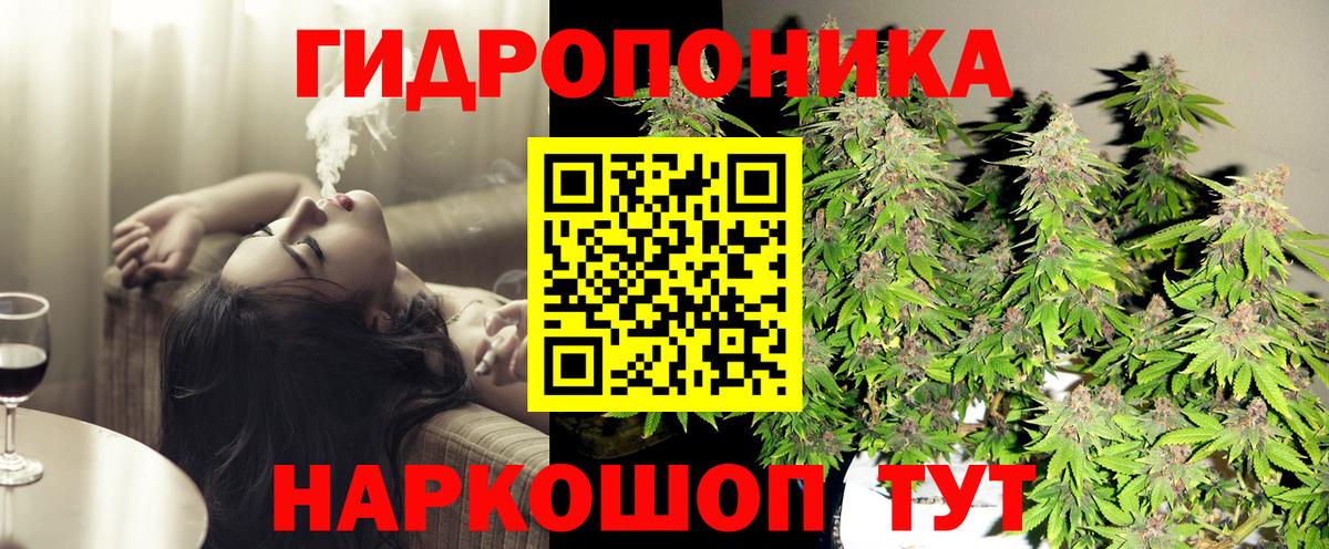 Каннабис семена  Вход с VPN  Каннабис THC 21%  Бошки Шишки конопля  Кириши  Бошки марихуана SATIVA & INDICA 